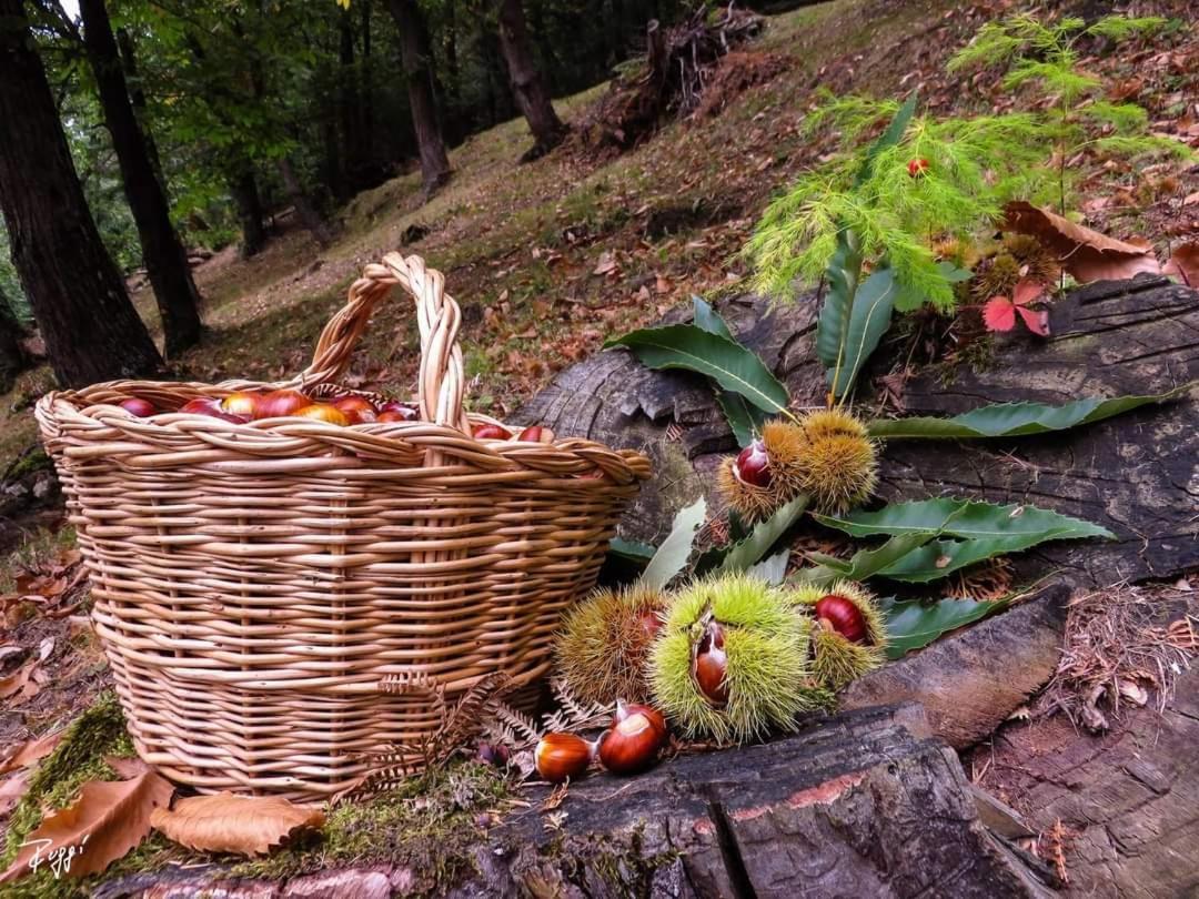 Agriturismo Prato Del Re Prignano sulla Secchia Eksteriør billede